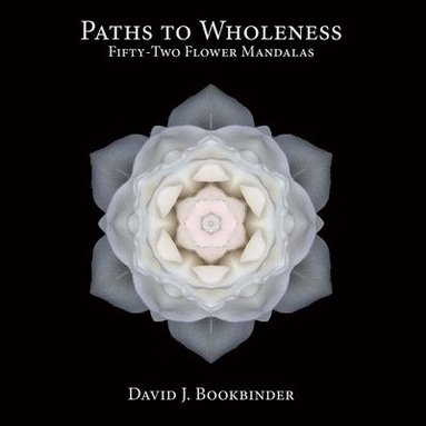 bokomslag Paths To Wholeness