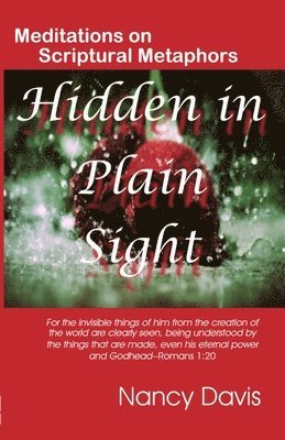 Nancy Davis - Hidden in Plain Sight, Häftad