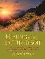 Steve Shamblin - Healing of the Fractured Soul, Häftad