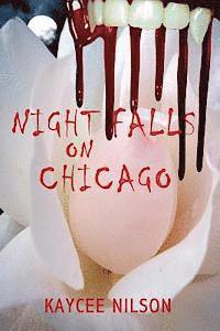 bokomslag Night Falls on Chicago