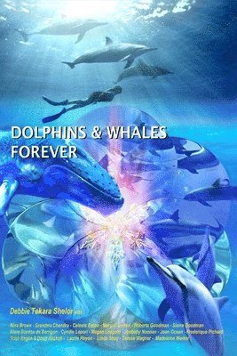 Dolphins & Whales Forever 1