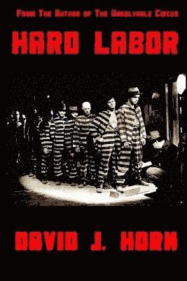 David Horn - Hard Labor, Häftad