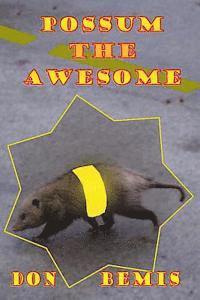 bokomslag Possum the Awesome
