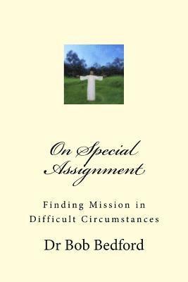 bokomslag On Special Assignment: Finding Mission in Difficult Circumstances