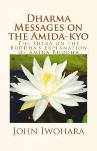bokomslag Dharma Messages on the Amida-kyo