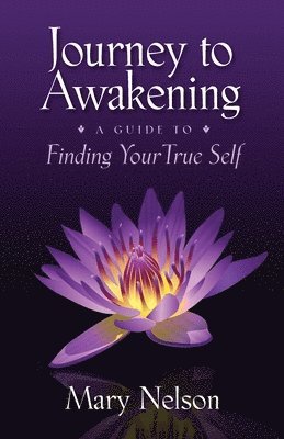 Journey to Awakening 1