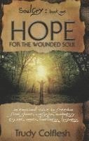 Trudy Colflesh - SoulCry Book 1: Hope for the Wounded Soul, Häftad