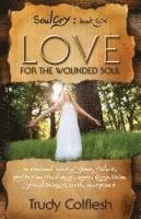 SoulCry Book 6: Love for the Wounded Soul