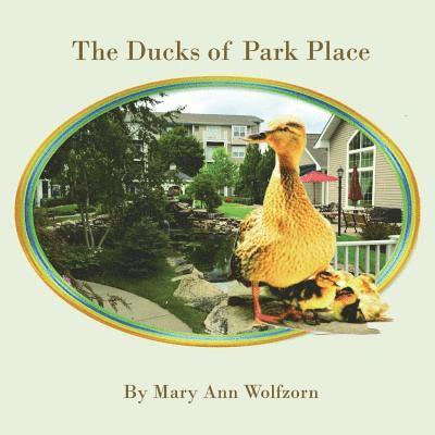 Ducks of Park Place 1