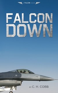bokomslag Falcon Down