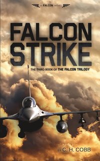 bokomslag Falcon Strike