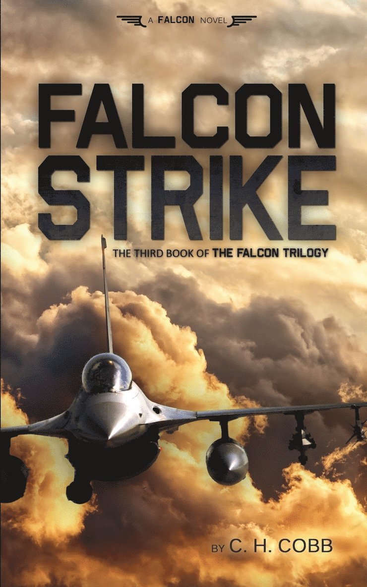 C H Cobb, C. H. Cobb - Falcon Strike, Häftad