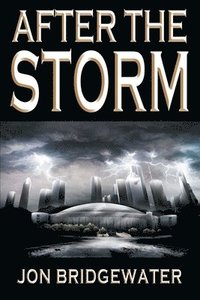 bokomslag After the Storm: A David Storm Mystery