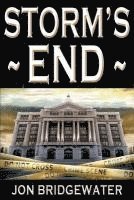 Jon Bridgewater - Storm's End: A David Storm Mystery, Häftad