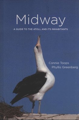 bokomslag Midway