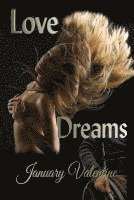 bokomslag Love Dreams