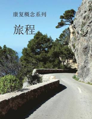 Concepts of Recovery The Journey