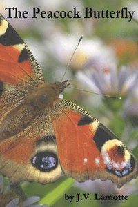 bokomslag The Peacock Butterfly