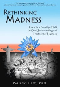 bokomslag Rethinking Madness