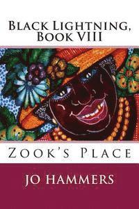 bokomslag Zook's Place: (Black Lightning, Book VIII)