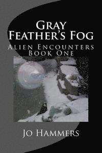 bokomslag Gray Feather's Fog