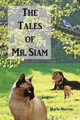 bokomslag Tales of Mr. Siam