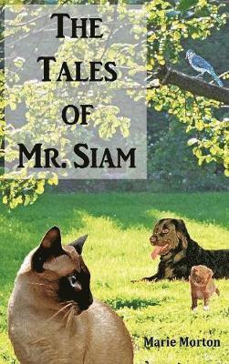 bokomslag Tales of Mr. Siam