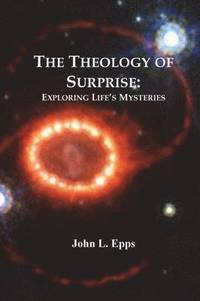 bokomslag The Theology of Surprise