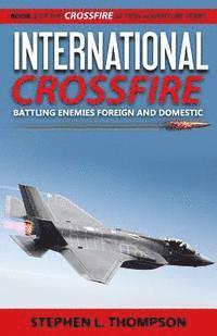 bokomslag International Crossfire: Battling Enemies Foreign and Domestic