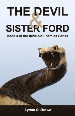 bokomslag The Devil & Sister Ford: Book 3 of the Invisible Enemies Series