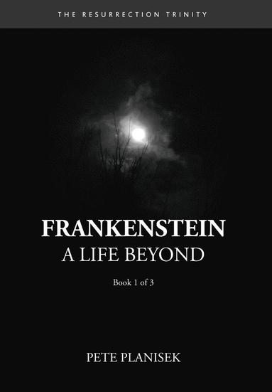 bokomslag Frankenstein A Life Beyond