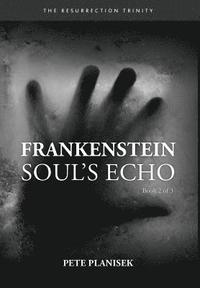 bokomslag Frankenstein Soul's Echo