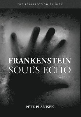 Frankenstein Soul's Echo 1