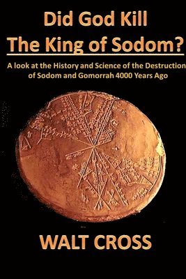 bokomslag Did God Kill the King of Sodom?