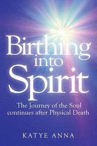 bokomslag Birthing Into Spirit