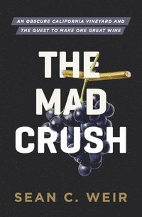 bokomslag Mad Crush