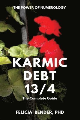 bokomslag The Power of Numerology: Karmic Debt 13/4