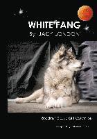 bokomslag White Fang