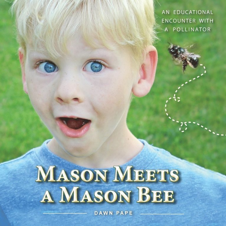 Mason Meets a Mason Bee 1