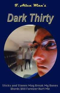 bokomslag Dark Thirty