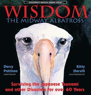 Darcy Pattison - Wisdom, the Midway Albatross, Inbunden