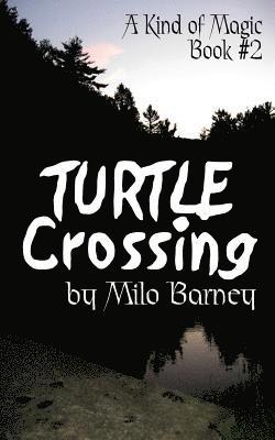 Turtle Crossing 1