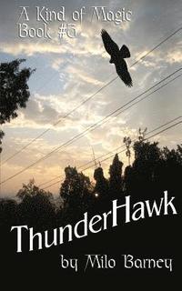bokomslag ThunderHawk