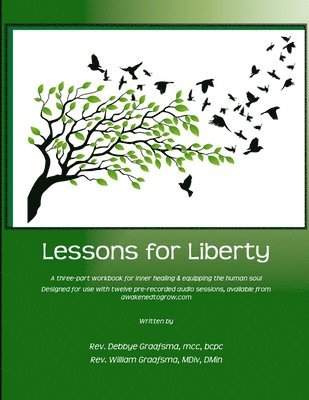bokomslag Lessons for Liberty