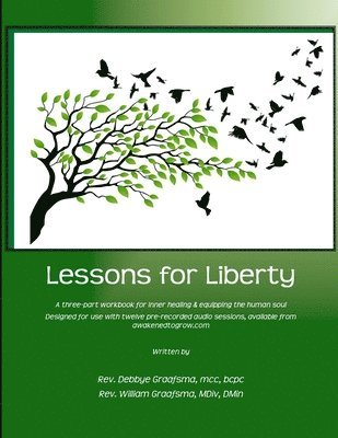 bokomslag Lessons for Liberty