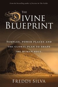bokomslag Divine Blueprint