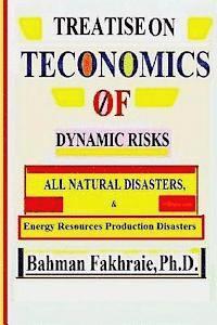 bokomslag Teconomics oF Dynamic Risks: All Natural Disasters, And Energy Resource...