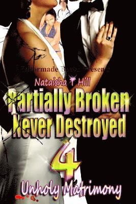 Partially Broken Never Destroyed IV 1