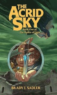 bokomslag Acrid Sky
