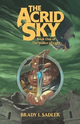 bokomslag Acrid Sky